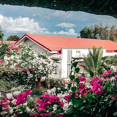 Airport View Hotel Βιγκάν Εξωτερικό φωτογραφία